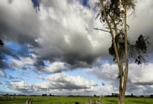 祝贺！中国轮椅网球提前锁定澳网女双冠军人民日报客户端.