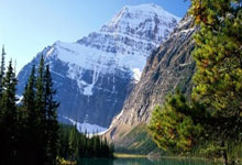 [大咖陪你看篮球]“香蕉船四兄弟”的传奇友情.